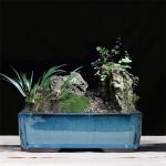 Blue 30.3cmx21.6cmx10.5cm Ceramic Glazed Bonsai Pots for sale