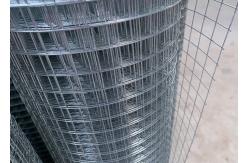 China 1 By 2 Welded Steel Wire Mesh supplier