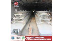 China Q235 Poultry Cage chicken farm for layer chickens Equipment Automated Chicken Layer supplier