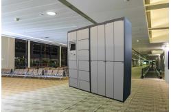 China Safe Electronic Laundry Locker / Smart Software Control Rental Dry Cleaning Lockers supplier