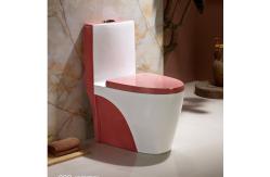 China 300mm 400mm Roughing In Siphonic One Piece Toilet Sanitary Ware WC supplier