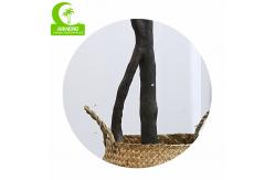 China Flame Retardant Height 155cm Aesthetic Artificial Ficus Lyrata With Pot supplier