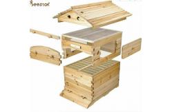 China Beehive Apiculture Beekeeping Equipment Automatic Self Flowing for Beekeeping supplier