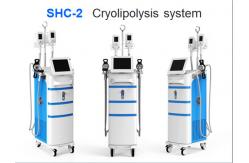 China 2016 hot sell cryolipolysis body slimming machine/ cryolipolysis machine 5 handles supplier