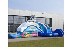 China Amusement Park Inflatable Water Slide Pool Customized Size supplier