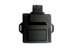 China Custom CNG LPG Electronic Control Unit In Car With 48 Pin Connector supplier
