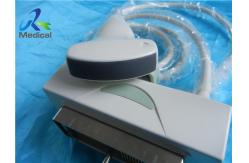 China Biosound Biosound CA621 Ultrasound Transducer Probe/OB/GYN/Cario Fetal/My Lab series supplier