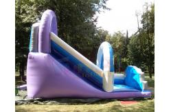 China Polar Bear Inflatable Bouncy Castle With Slide Fully Digital Printing supplier