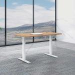 1.6M Electric Sit Stand Desk Ergonomic Lifting Standing Table for sale