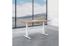 China 1.6M Electric Sit Stand Desk Ergonomic Lifting Standing Table supplier