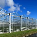 Customizable Dimensions Corrosion Resistant Hurricane Proof Modular Steel Greenhouse Prefabricated Steel Structure
