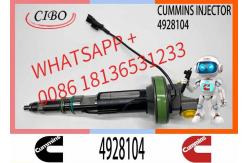 China Fuel Injector Assembly 4955526 Y431KO5199 4928104 F0OBLOJ014 F00BLOJ013 For Qsk19 Engine supplier