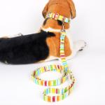 Canvas Fabric Colorful Unchewable Dog Lead For Small Medium Pet Collar Leash for sale