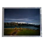 H104UAX01.0 10.4 inch 1200*2000 LCD Display Monitor for sale
