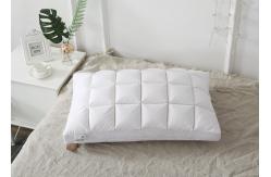 China 74cm 240G Duck And Goose Feather Pillows Cotton Home Textiles supplier