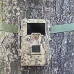 Hunting Digital Wildlife Camera , Infrared Hunting Camera That Camera Trap for sale