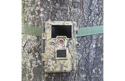 China Hunting Digital Wildlife Camera , Infrared Hunting Camera That Camera Trap supplier