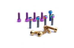 China Bicycle Stem Bolt with washer Titanium DIN 912 supplier