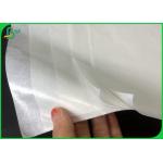 Different GSM White Kraft Paper Coils With PE Coated For Nut Packaging for sale