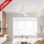 Plastic High RPM Dimmable LED Ceiling Fan Light With Remote Control