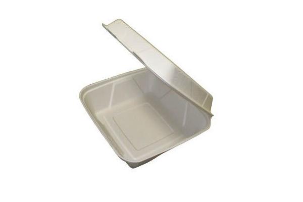 Wholesale Compostable 9inch Take Out Disposable PLA Foam Box for Food