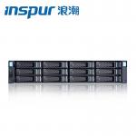 RJ45 SATA INSPUR Storage Dedicated 1U GPU Server Dual Controller AS2150G2