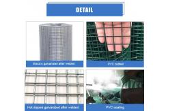 China Galvanized Welded Wire Mesh For Garden Fence Pvc Coated supplier