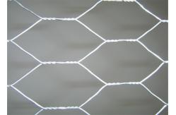 China Poultry Netting Chicken Wire Mesh , Plain Weave Galvanized Hexagonal Wire Mesh supplier