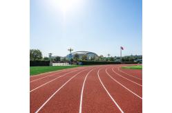 China Stadium Sandwich System Running Track EPDM Rubber Flooring Surface supplier