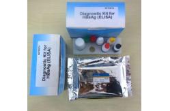 China Approved FSC Rapid Self Test Kit Medical Diagnostic Device Hbsag supplier