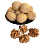 Factory Wholesale 10kg/bag raw 185/33/xin2/xingfu walnuts Amazon’s best-selling products for sale