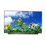 AUO Vertical Stripe 15.6 Inch LCD Panel B156HAN13.0 10pins LCD SCREEN for sale