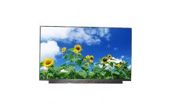 China AUO Vertical Stripe 15.6 Inch LCD Panel B156HAN13.0 10pins LCD SCREEN supplier