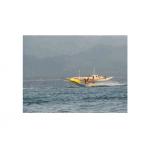 Commercial Flying Fish Towable Inflatables With Airtight Structure for sale