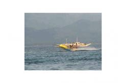 China Commercial Flying Fish Towable Inflatables With Airtight Structure supplier