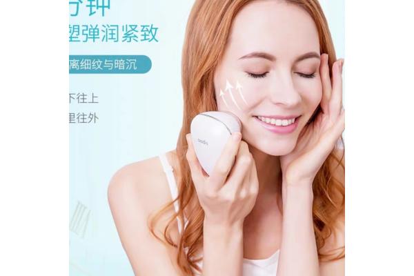 2 In 1 IP67 Deep Cleansing Device Gp560 Home Ultrasonic Facial Cleaner