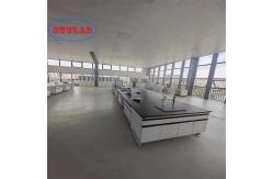 China High Durability Chemistry Lab Workbench Research Laboratory Equipment Multi Purpose supplier