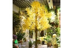 China Nearly Natural Finished Artificial Ginkgo Tree 10 Foot Green Plant Plastic Nursery supplier
