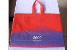 China Custom Printed Large Plastic Shopping Bags with Rope Handles / Button supplier