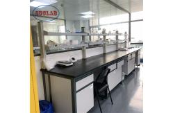 China Customizable Chemistry Lab Workbench Laboratory Workstation High Safety Environment supplier