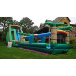 Inflatable Water Slide, inflatable hippo giant slide for sale