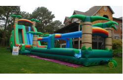 China Inflatable Water Slide, inflatable hippo giant slide supplier
