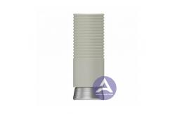 China Osstem GS(TS)® UCLA All-Plastic Castable GoldCast Abutment Compatible  Mini / Regular supplier