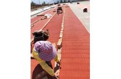 China TPE Granules Jogging Track Rubber Running Track Paint Middle School supplier