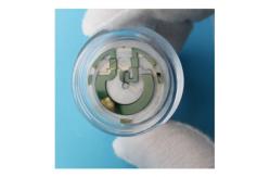China Flexible beam quartz pendulum used for inertial navigation supplier