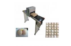 China Date Coder Number Egg Inkjet Printer With Six Sprinkler / 45ml Ink supplier