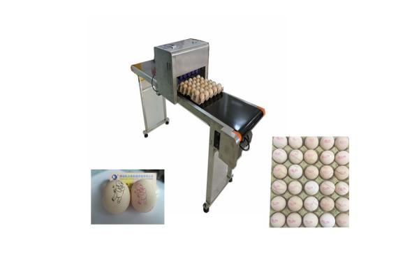 Date Coder Number Egg Inkjet Printer With Six Sprinkler / 45ml Ink
