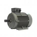 Industrial Gearless Permanent Magnet AC Synchronous Motor OEM ODM CE Approved for sale