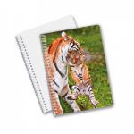 School Stationery 3D Lenticular Advertising Custom Spiral Notebooks for Children Promotion Gift