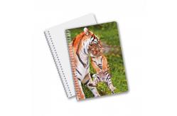 China School Stationery 3D Lenticular Advertising Custom Spiral Notebooks for Children Promotion Gift supplier